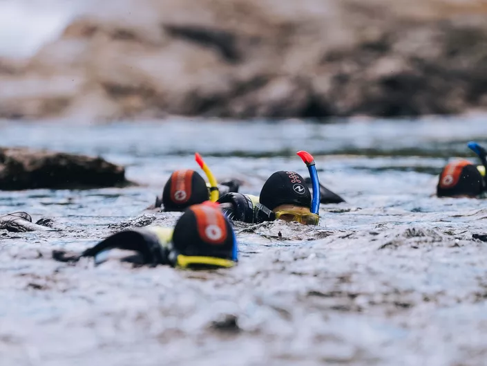 Aktiviteten elvesnorkling i Hemsedal