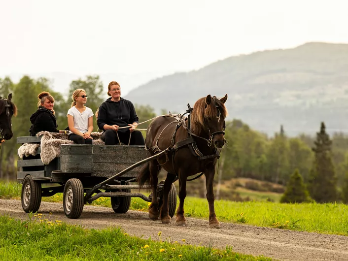 Hest og vogn - Nicolai Gunner - hemsedal haugen gård.