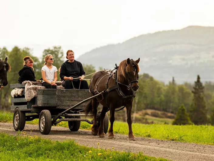 Hest og vogn - Nicolai Gunner - hemsedal haugen gård.