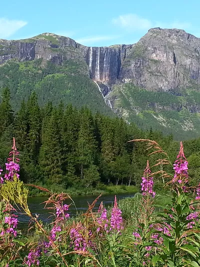 Hydnefossen fra avstand, med blomster og trær i bakgrunnen (fint vær).
