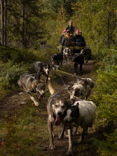 Hundekjøring Hemsedal Sommer 2024 KH 19