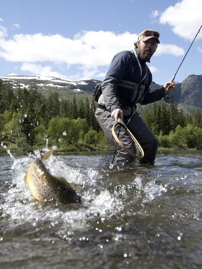 Mann som fanger en fisk i håv