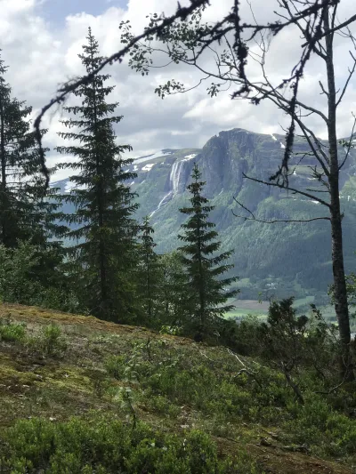 Utsikt mot hydnefossen, i bakgrunnen er det grønn skog.