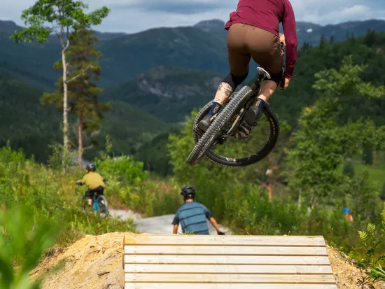 Sykling i tottelia Hemsedal