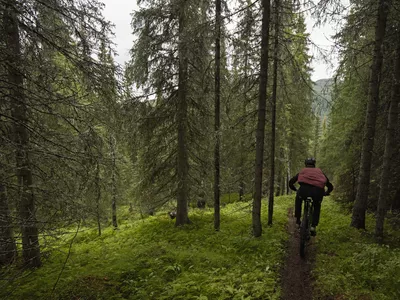 Mann som stisykler i skogen i Hemsedal