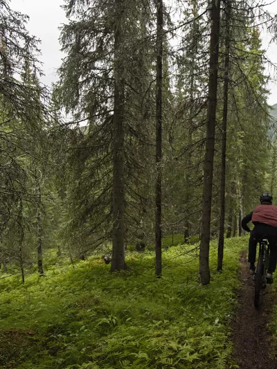 Mann som stisykler i skogen i Hemsedal