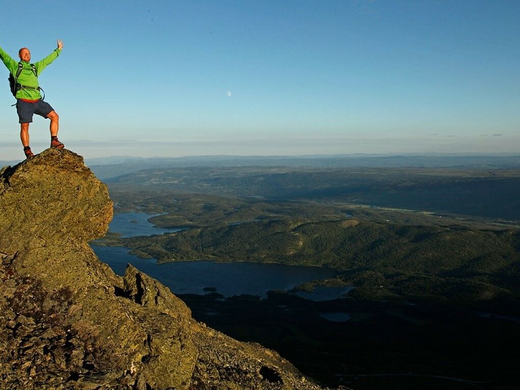 Skogshorn