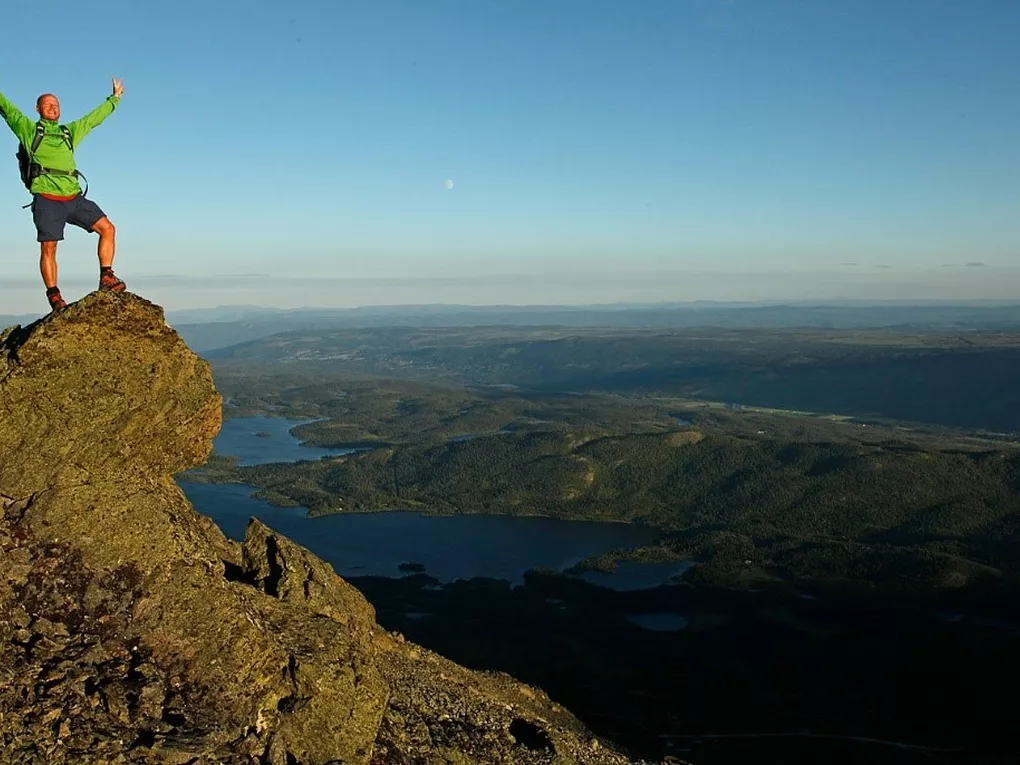 Skogshorn stående