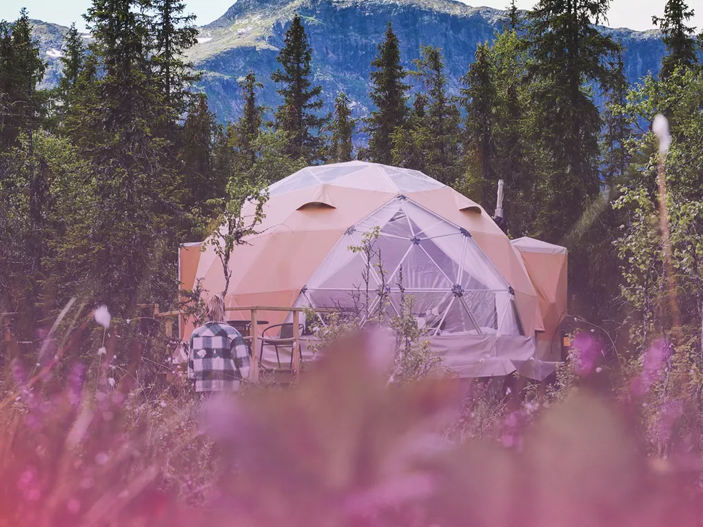 Dyrja domes berry fire 2