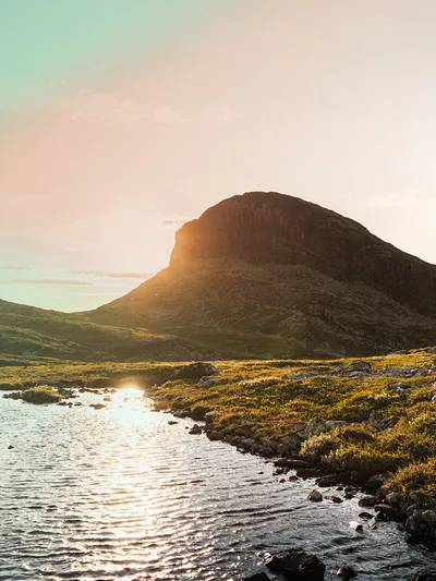 Storehødn forrset sand