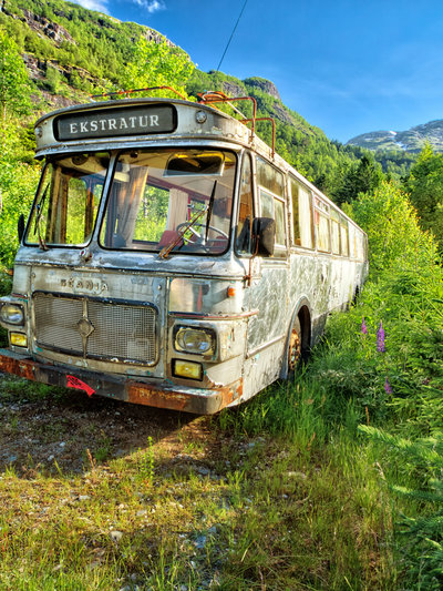 Buss