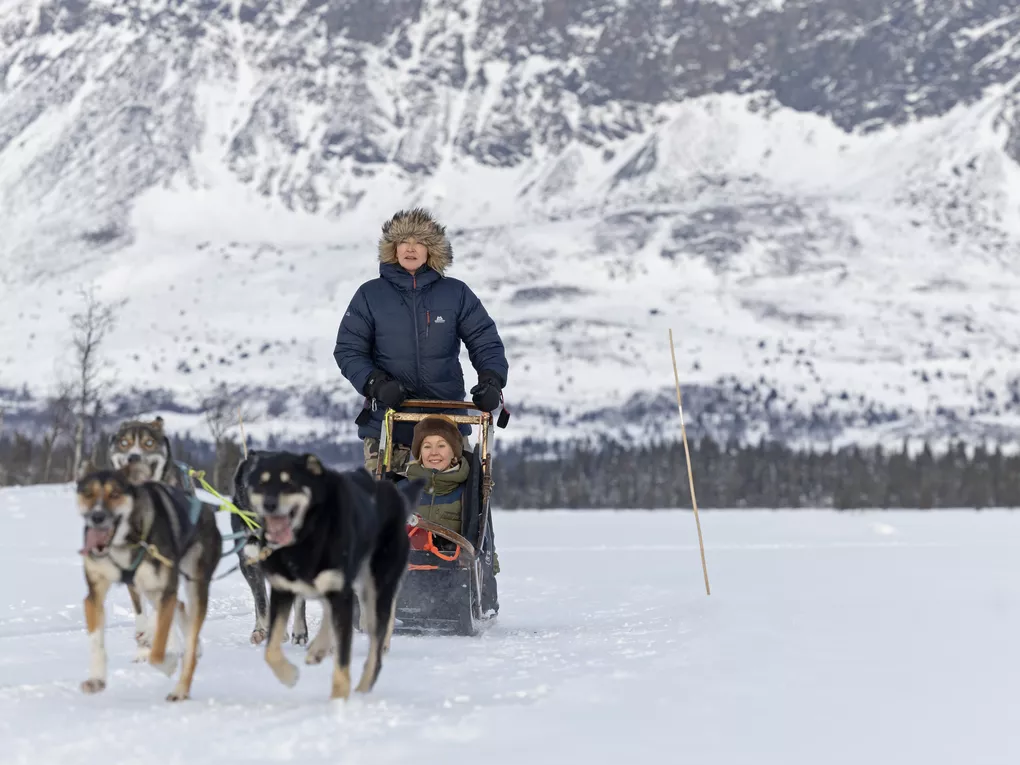 To damer som kjører hundekjøring innover fjellet i Hemsedal