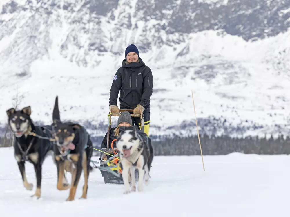 Hundekjøring Hemsedal med Skogshorn bak