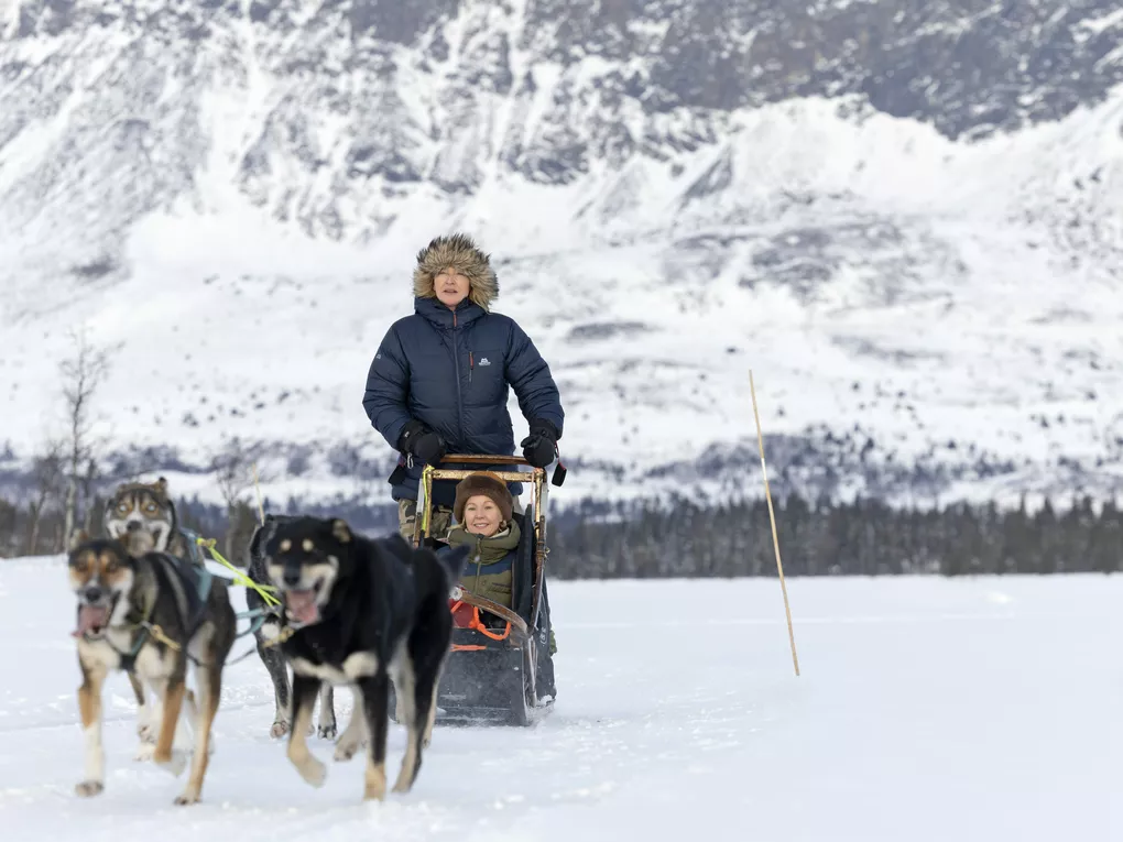 HUndekjøring Hemsedal Lisa