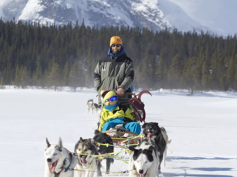 Mann og barn som kjører hundekjøring om vinteren i Hemsedal