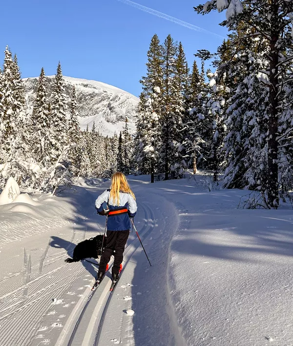 Bilde 17 02 2024 11 16 51 4