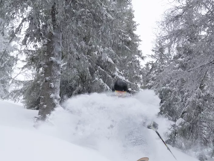 Hemsedal alpin KH 23 102